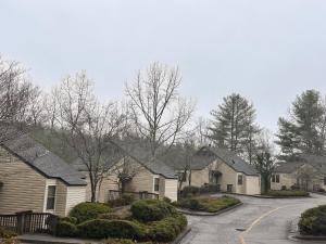 a row of houses in a residential neighborhood at IGLS Resort Villas at Innsbruck in Helen +30 photos