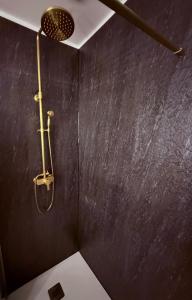 y baño con ducha y pared negra. en César Room - Appartement style grec 2-3 pers, parking, marché de Noël, en Obernai 10 fotos más