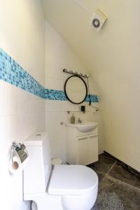 a bathroom with a white toilet and a sink at Unique private guesthouse 'The Iglo' in Paterswolde