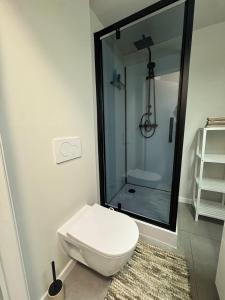 a bathroom with a toilet and a glass shower at Studio in Wenduine with frontal sea view in Mellet