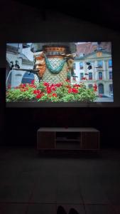 Barrio El RetazoCasa las margaritas的电视屏幕上显示着一束鲜花