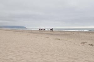 Foto dalla galleria di King Tide Pacific City - Meredith Lodging a Pacific City
