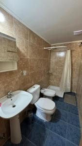 a bathroom with a toilet and a sink and a tub at Departamento a las afueras para 4 in San Martín de los Andes +7 photos