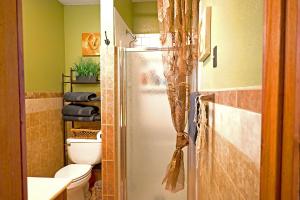 a bathroom with a shower with a toilet and a sink at Hotel Oasis with Outdoor Kitchen in Fall River +17 photos