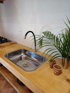 a kitchen counter with a sink and two potted plants at Casa da Vila in Caraíva