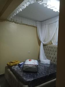 Bett in einem Zimmer mit Baldachin in der Unterkunft Rosslyn suites in Juja