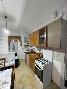 Carpineto SinelloRifugio nel cuore dell'Abruzzo的房间里有带炉灶和沙发的厨房