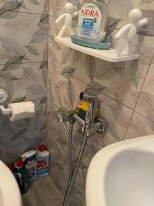 Carpineto SinelloRifugio nel cuore dell'Abruzzo的带马桶和水槽的浴室