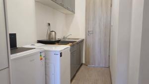 a small kitchen with a sink and a stove at Zero Distance Studio in Podgorica