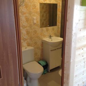 a bathroom with a toilet and a sink at Domki u Wiki in Niechorze +27 photos