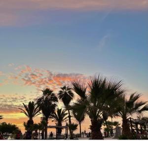 皮门特尔Hospedaje en Pimentel, playa的日落前的一组棕榈树