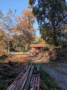 Φυσικό τοπίο κοντά σε αυτό το διαμέρισμα