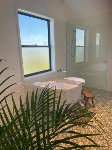 a bathroom with a tub and a window and a plant at Smithtown Champagne Bed and Bubbles in Smithtown +20 photos
