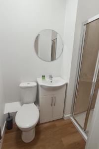a bathroom with a toilet and a sink and a mirror at City Stays Norwich in Norwich