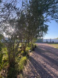 Příroda nedaleko kempu