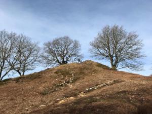 Φυσικό τοπίο κοντά σε αυτή η παραθεριστική κατοικία