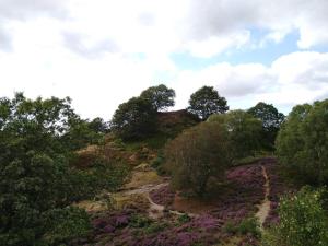 Φυσικό τοπίο κοντά σε αυτή η παραθεριστική κατοικία +41 φωτογραφίες