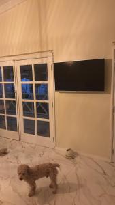 Μια τηλεόραση ή/και κέντρο ψυχαγωγίας στο Serenity