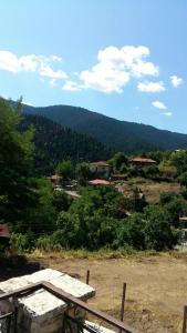 un tavolo da picnic in cima a una collina con una montagna di Gouvas stone house a Karpenision