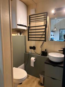 a bathroom with a white toilet and a sink at TogetherNest - Cedar in Mătişeşti