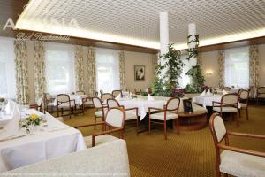 Restaurace v ubytování Hotel Alpina