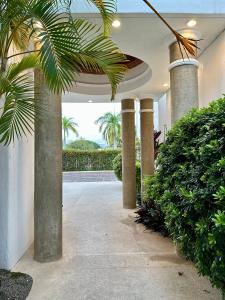 Κήπος έξω από το Amplio y lujoso departamento en Ixtapa +42 φωτογραφίες