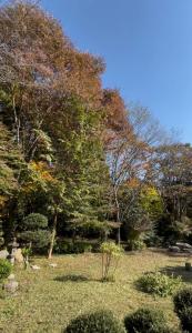 Κήπος έξω από το 杜の宿 らくう庵 山鹿