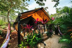 a small house in the middle of some plants at Flor y Bambu in Playa Grande
