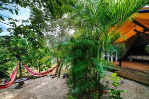 amaca di fronte a una casa alberata di Glamping Hotel Flor y Bambu a Playa Grande