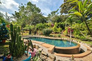 una piscina in un giardino con cactus di Glamping Hotel Flor y Bambu a Playa Grande Altre 31 foto