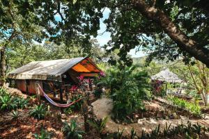 a small house in the middle of a forest at Flor y Bambu in Playa Grande +31 photos