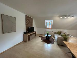 un soggiorno con un divano e una TV di Faraway Homes Studios Bad Leonfelden a Haid