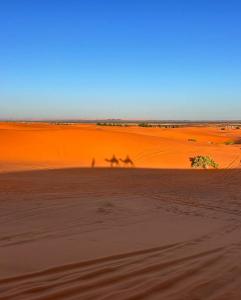 grupa ludzi spacerujących po pustyni w obiekcie Gite take your time merzouga w mieście Adrouine +12 zdjęć
