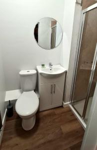 a bathroom with a toilet and a sink and a mirror at City Stays Norwich in Norwich
