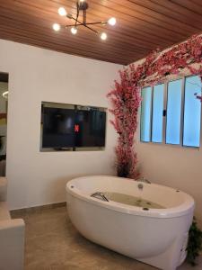 una vasca da bagno in una camera con TV a parete di Studio com hidromassagem em Guararema a Guararema
