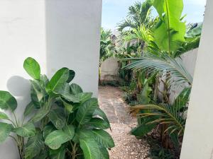 En have udenfor Villa BHT Lac Rose