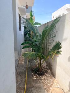 Billede fra billedgalleriet på Villa BHT Lac Rose i Rufisque