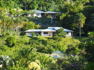 a house in the middle of a forest of trees at Fare Panaipo in Uturoa