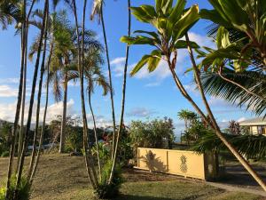 un gruppo di palme su una spiaggia di Fare Panaipo a aUturoa