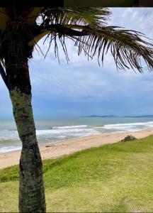 Naturlandskabet i nærheden af feriehuset