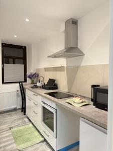 eine weiße Küche mit Spüle und Mikrowelle in der Unterkunft Apartment Döbeln Centrum in Döbeln