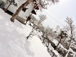 a snow covered yard with a house and a tree at りす村別荘 in Yamanakako