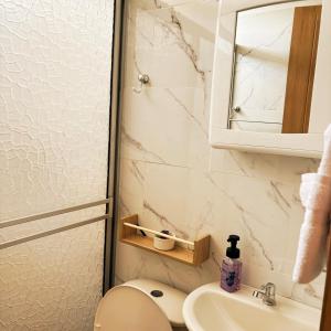 BuenavistaKira Apartahotel的浴室里有洗手池、马桶和镜子。