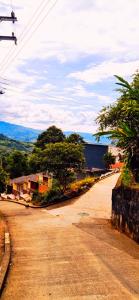 BuenavistaKira Apartahotel的一条空的街道,路边有树木