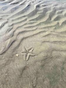 una estrella de mar dibujada en la arena de la playa en Golf Cart to Beach , Pet Friendly, Fenced, Quiet, en Fernandina Beach