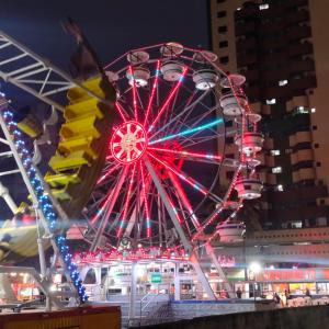 Cantinho à beira mar في برايا جراندي: عجل فيريس في مدينة في الليل