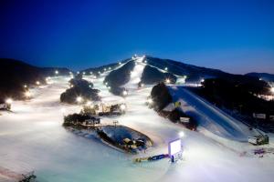 a snowy slope with lights on a mountain at night at Wellihilli Park Resort in Hoengseong