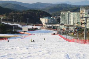 a group of people skiing down a snow covered slope at Wellihilli Park Resort in Hoengseong