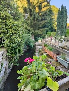 a garden with a river with flowers and plants at Chambres D'hôtes in Bains-les-Bains