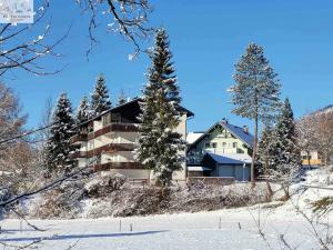 Apartment in Bad Mitterndorf - Steiermark 41122 talvel